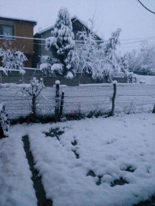 15825869_10211425729182863_6538909285564772941_n