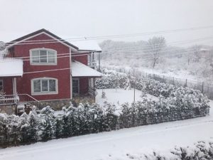 15871830_10210760903432719_3441539096526512975_n