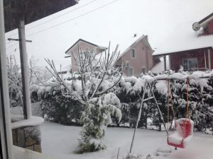 15940537_10210761025595773_7824427108478085762_n