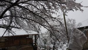 15940573_10207847814662607_3418284155215489303_n