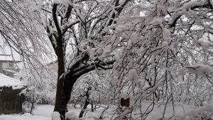 15940712_10207847815662632_4938657804527038579_n