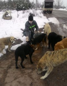 15966275_1328712253817324_445909743413048030_n