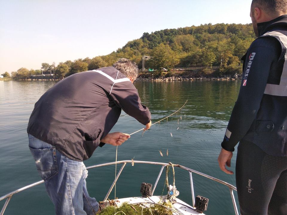 Sapanca Gölü’nde doğal yaşam korunuyor