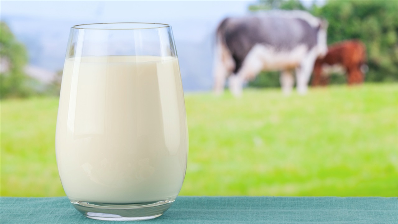 21 Mayıs Dünya Süt Günü…