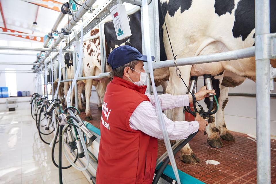 “Çiğ süt fiyatı sürdürülebilir üretimi desteklemelidir”
