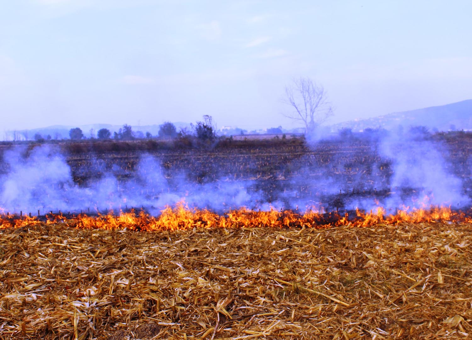 Anız yangınları toprak verimliliğini düşürür