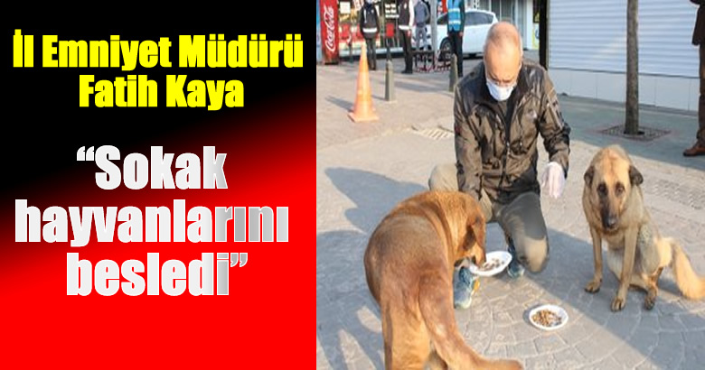 Sakarya İl Emniyet Müdürü Fatih Kaya,sokak hayvanlarını besledi.