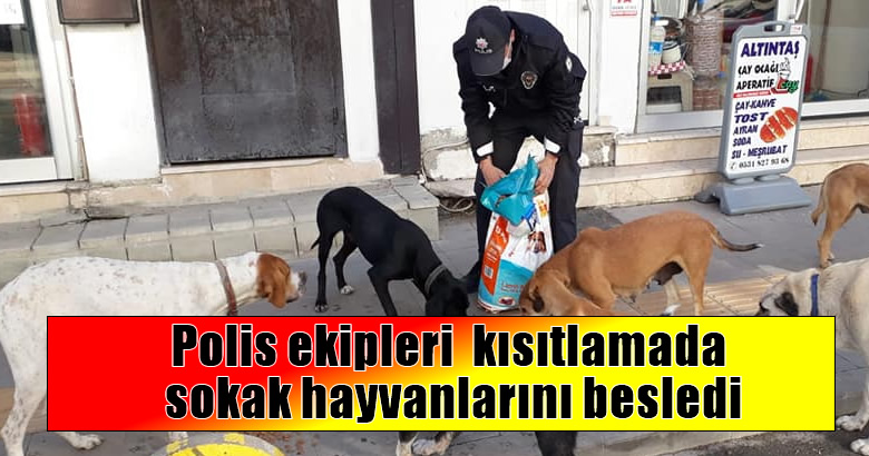 Polis ekipleri kısıtlamada sokak hayvanlarını besledi
