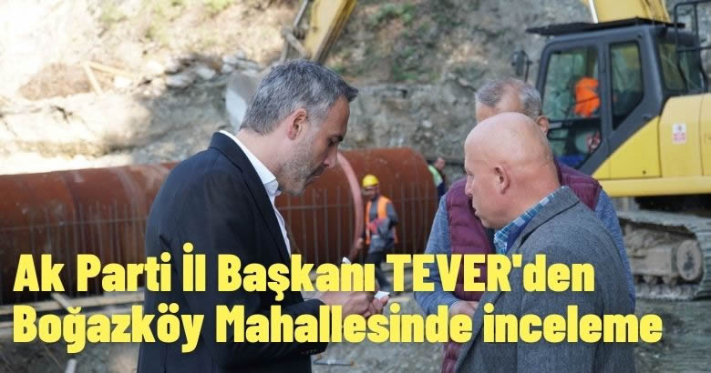 Ak Parti İl Başkanı TEVER’den Boğazköy Mahallesinde inceleme