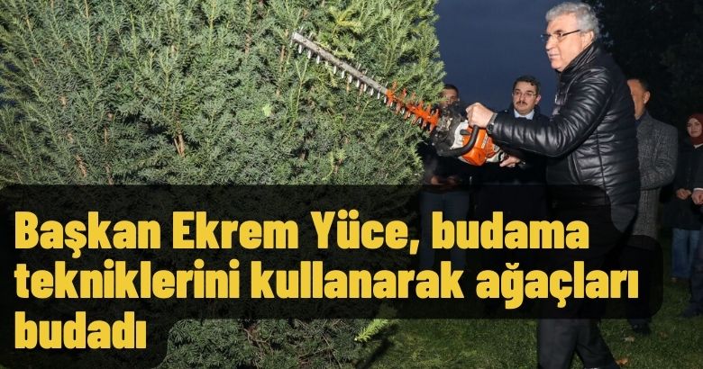  Başkan Ekrem Yüce,budama tekniklerini kullanarak ağaçları budadı.