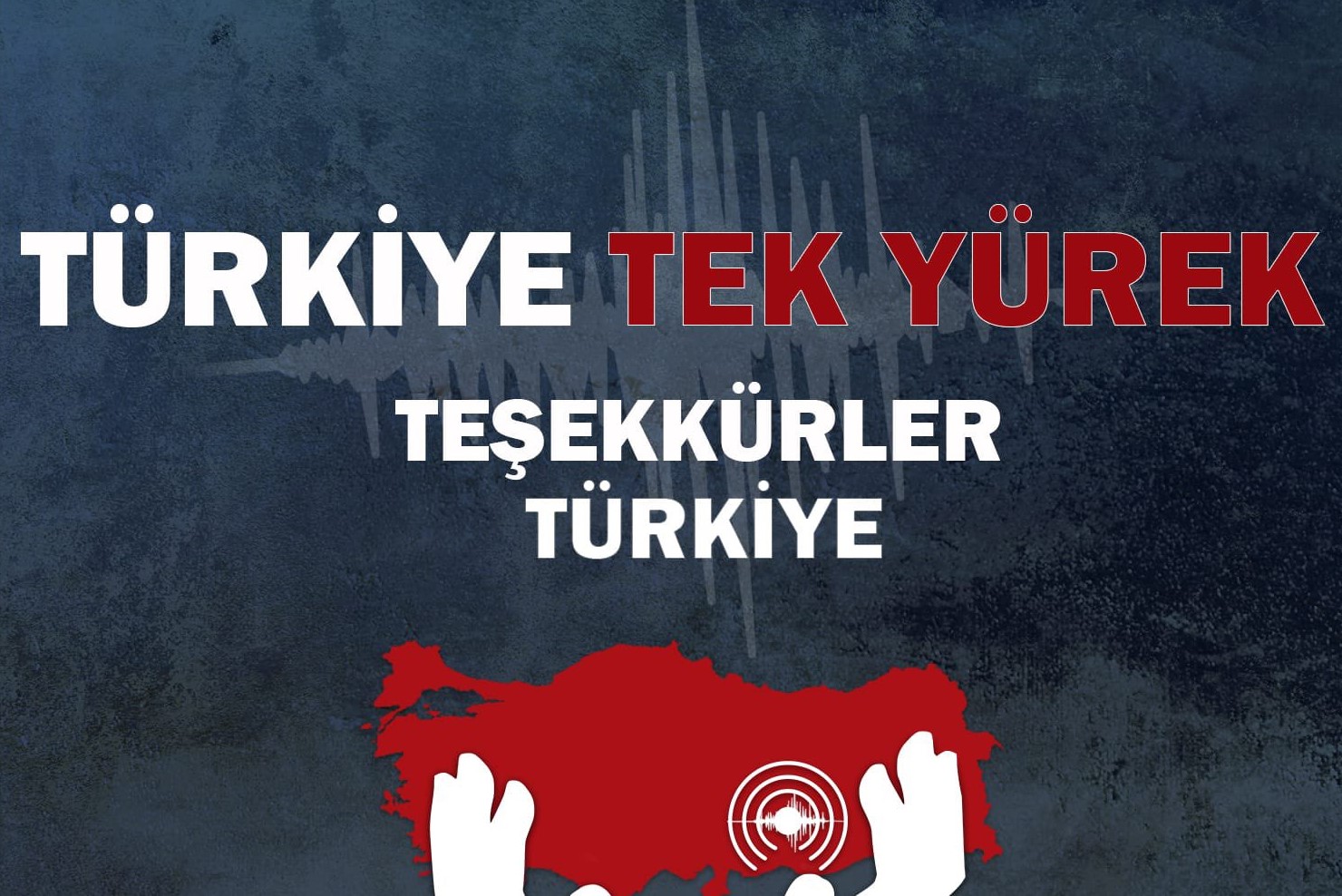 ‘Türkiye Tek Yürek’ oldu