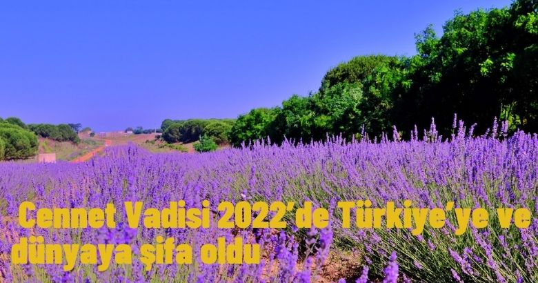  Cennet Vadisi 2022’de Türkiye’ye ve dünyaya şifa oldu