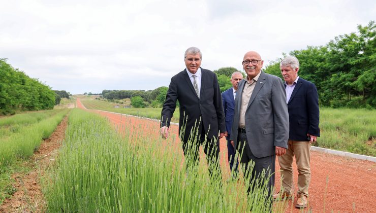 Başkan Yüce, “Botanik Park projemizle vadiyi yaşam merkezi haline taşıyacağız”