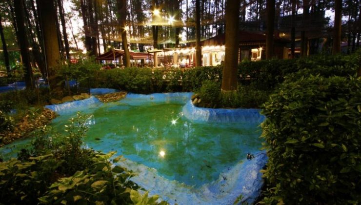 Sakarya’da Bayramlaşma Orman Park’ta