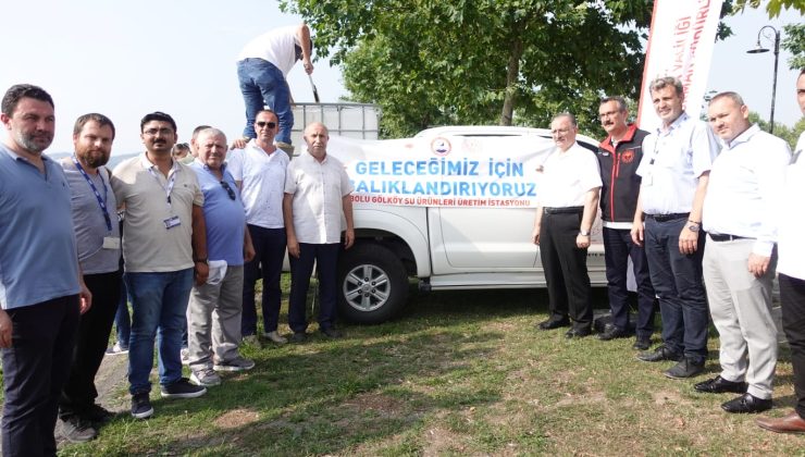 Sapanca Gölüne 399 bin Yavru Sazan balığı bırakıldı.