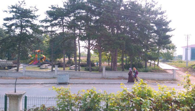 Çamlık Park’ta Çam Ağaçları kesilmesin!..