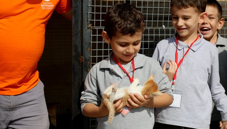 Sokak Hayvanları Geçici Bakımevinde İç Isıtan Manzara