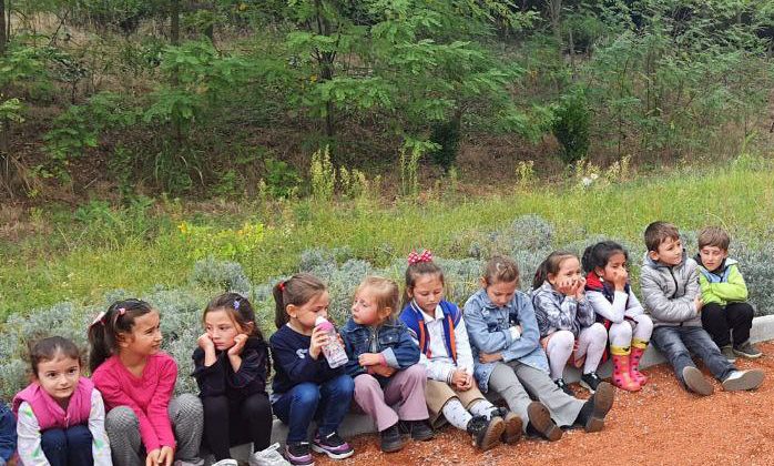 Gezi programı minikleri mest etti