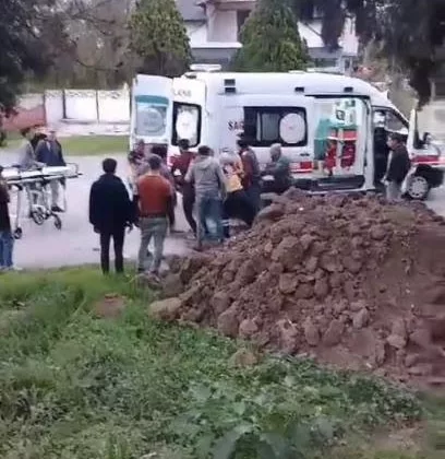 Kozalak toplamak için çıktığı ağaçta elektrik çarpan genç hayatını kaybetti