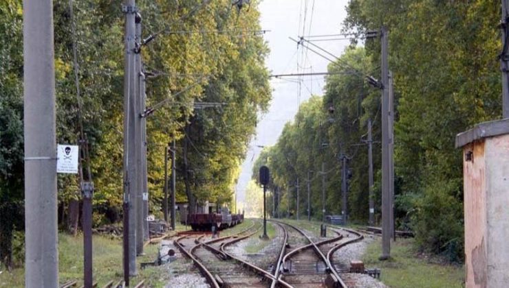 Otla mücadele kapsamında ilaçlama yapılacak