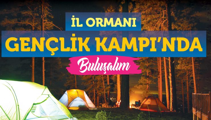 İl Ormanı’nda Gençlik Kampı: Başvurular başladı