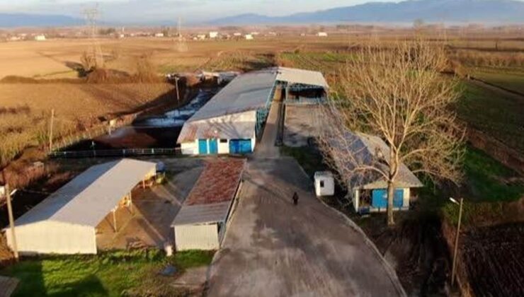 Büyükşehir Manda Çiftliğinide kapattı