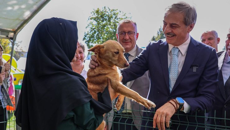 Sokak Hayvanları Doğal Yaşam Kampüsü için çalışmalar başladı