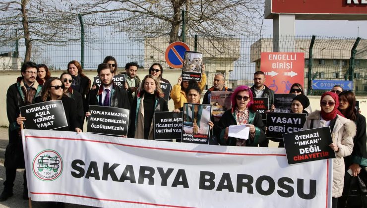 Baro Hayvan Hakları Merkezi’nden AYM’ye çağrı