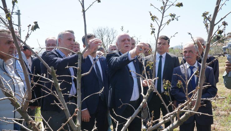 Don Zararının Görüldüğü İlçelerde İnceleme 