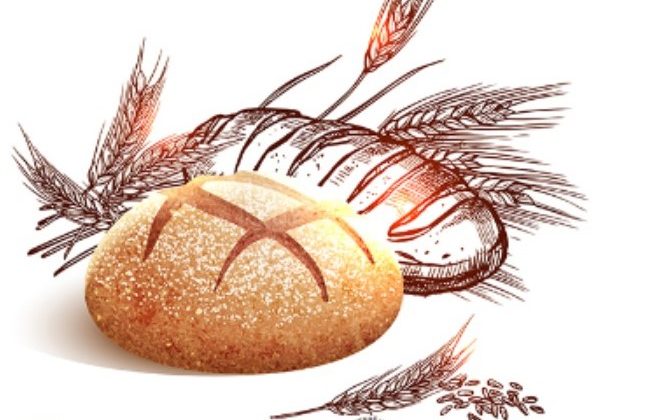 Sakarya’da Ekmeğin Hikayesini Gençler Yazacak