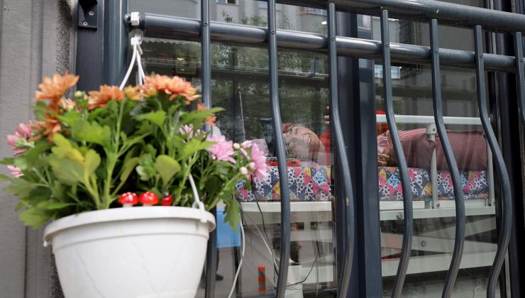 Rukiye’nin dünyayı gördüğü tek pencere  çiçek açtı