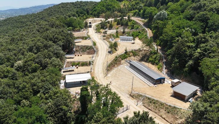 Arifiye’ye bir güzel hizmet daha ‘Sokak Hayvanları Barınağı’ hizmete girdi