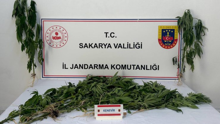 Jandarma ilçemizde uyuşturucuya geçit vermiyor
