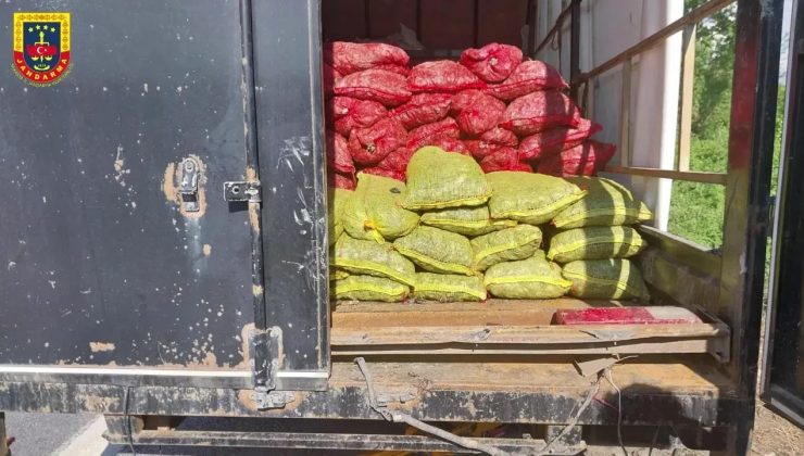 Arifiye’de 5.400 kilogram ağırlığında kaçak deniz midyesi ele geçirildi.