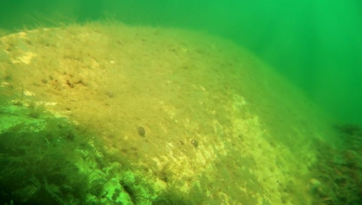 Sapanca Gölü’ne düşen uçağın enkazı 53 yıl sonra yeniden görüntülendi