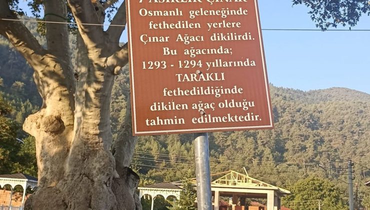 7 asırlık yaşayan mirasın çevresi sosyal bir alana dönüşecek