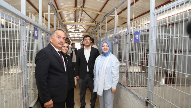 Milletvekili Çiğdem Erdoğan’dan  Hayvan Barınağı’na Ziyaret