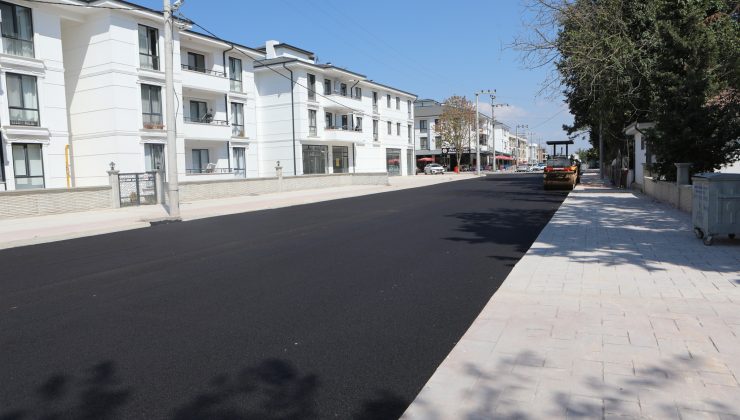Kibar Sokak’ta asfalt çalışmaları başladı