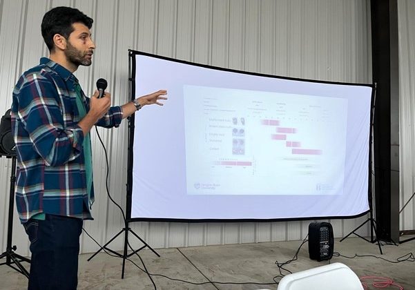ABD’de kahverengi kokarca ile mücadeleyi anlattı