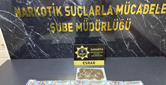İstanbul’da çaldı, Sakarya’da yakalandı