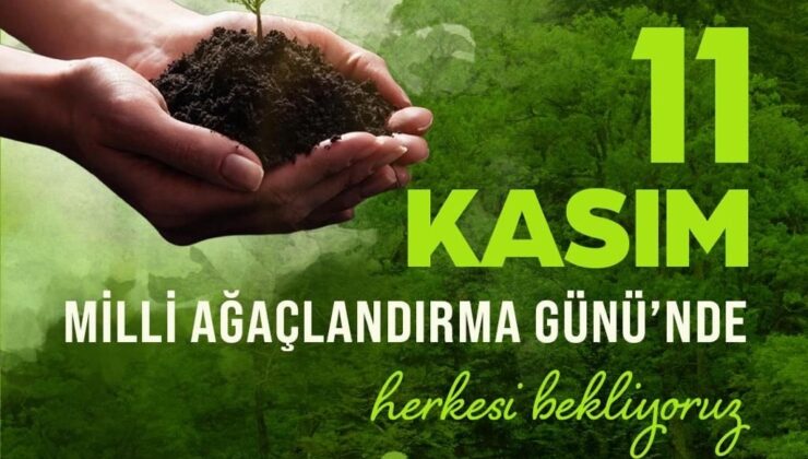 Sakarya’da  8 milyon fidanın toprakla buluşturulması hedeflendi