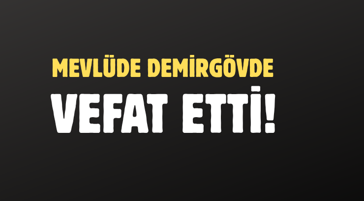 DEMİRGÖVDE AİLESİNİN ACI GÜNÜ!..