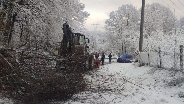 Kar Yağışı Kışlaçay Yolunda Ağacı devirdi!