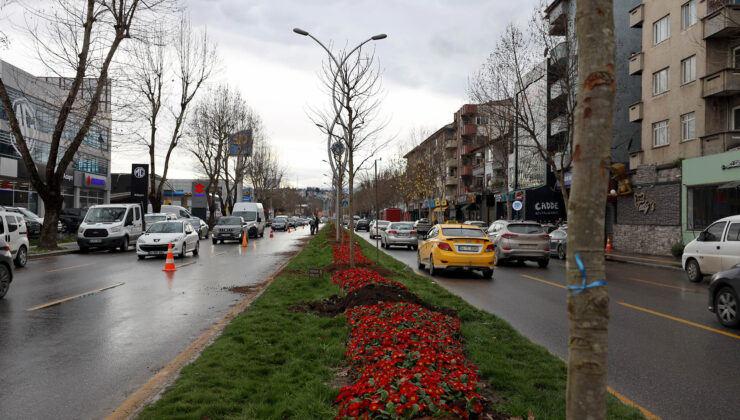 Büyükşehir’in ‘Yeşil Şehir’ vizyonu sahada