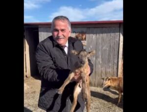 Gölya’da Çocuklar ile yaban koyunlarını besledi!