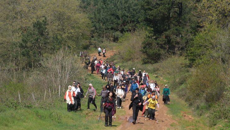 Bahar çiçekleriyle süslenen ormanların içinde unutulmaz bir yolculuk