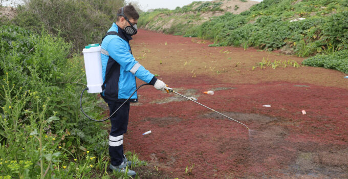 Vektörlerle mücadele başladı!