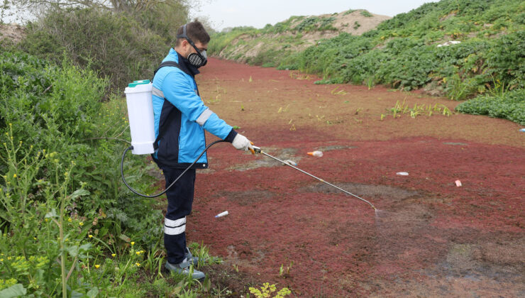 Vektörlerle mücadele başladı!