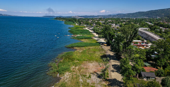 Sapanca Gölü kıyısını tertemiz sazlıklar süsledi