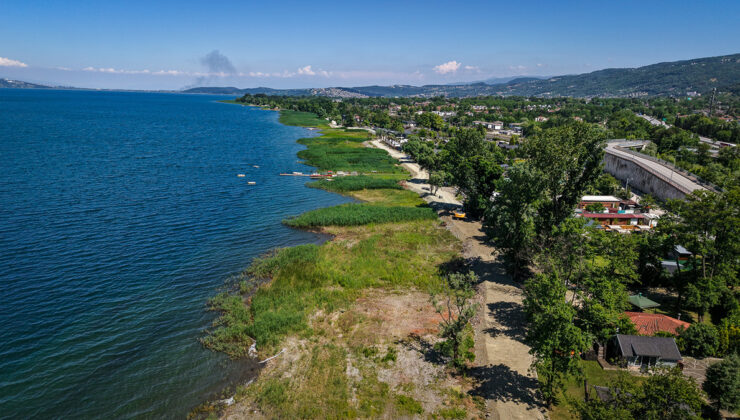 Sapanca Gölü kıyısını tertemiz sazlıklar süsledi